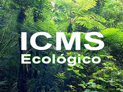 Um dos critérios para o ICMS Ecológico é a transparência e a objetividade / Foto: Divulgação