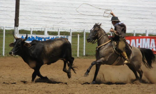 Copa do Laço agita Coronel Sapucaia do dia 9 a 11 de março.