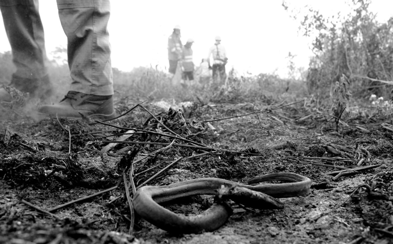 Com apoio do governo federal, MS controla focos de calor no Pantanal e Cerrado