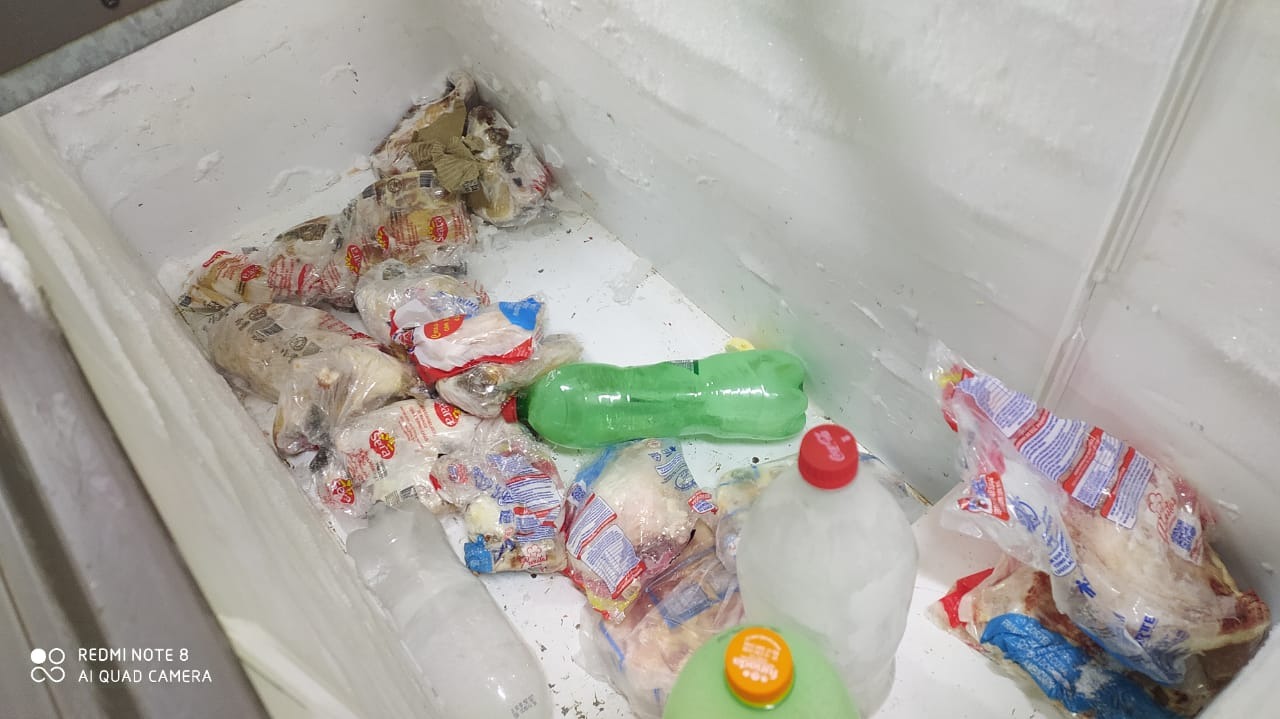 O freezer estava cheio de frangos congelados, de acordo com Adriana Villa / Foto: Moreira Produções