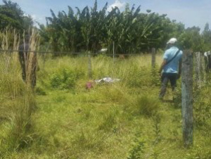 Policiais observam corpo de brasileiro, em Bella Vista Norte Foto: ABC Color