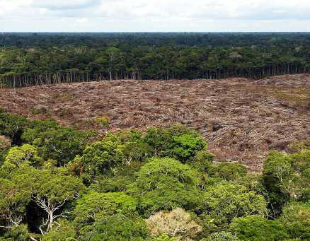 Congresso aprova lei que pode gerar crimes ecológicos em série