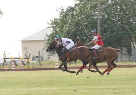 Capital sedia torneio de polo equestre