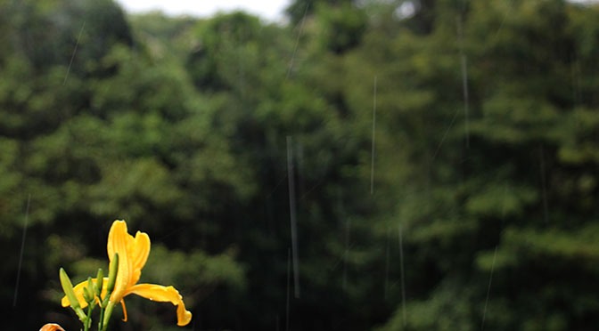 Meteorologia indica céu encoberto e temperaturas em queda no Estado