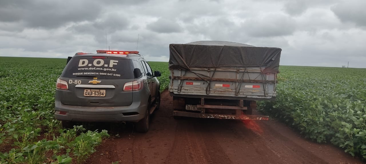 DOF apreende carga de agrotóxico contrabandeada avaliada em mais de R$ 6 milhões