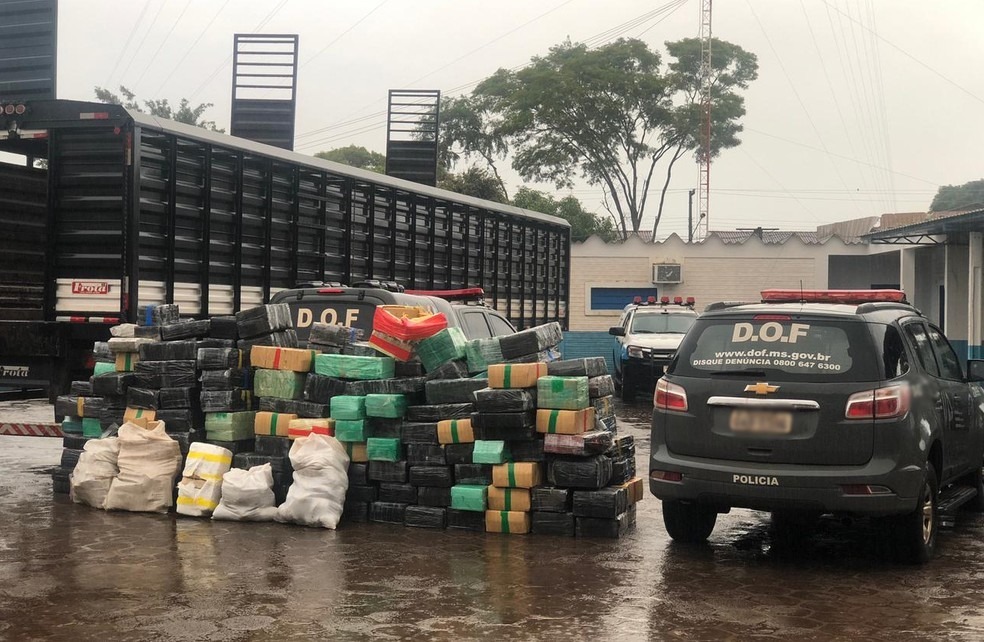 Caminhão boiadeiro carregava mais de 5 toneladas de drogas em Coronel Sapucaia (MS) — Foto: DOF/Divulgação