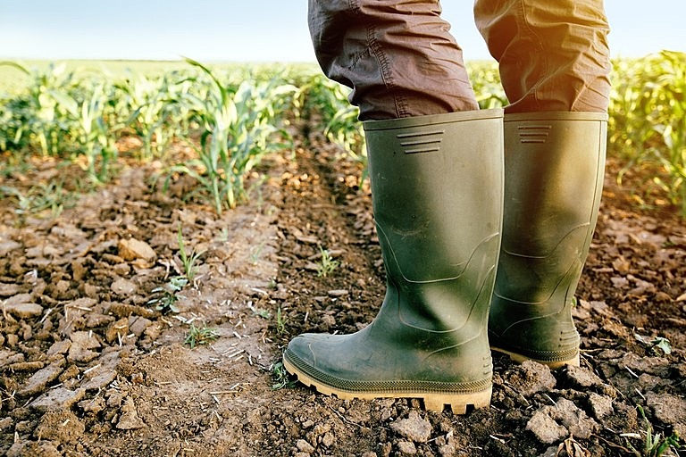 Responsáveis pela maior parte da produção de alimentos que chegam à mesa do brasileiro, agricultores familiares aguardam auxílio emergencial desde agosto de 2020 - Mapa/Divulgação