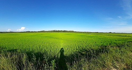 Foto:  Vinicius Rubenich Pereira