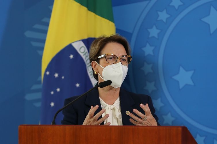 Ministra da Agricultura, Teresa Cristina, fala à imprensa, após reunião do Grupo de Trabalho Interministerial para elaboração do Plano Nacional de Fertilizantes. - Fabio Rodrigues Pozzebom/Agência Brasi