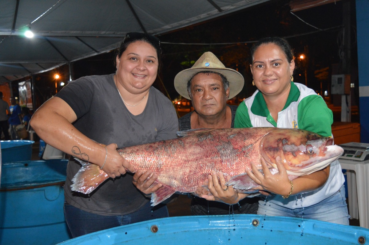 Os piscicultores estimam vender cerca de 7 toneladas de peixe / Foto: Moreira Produções